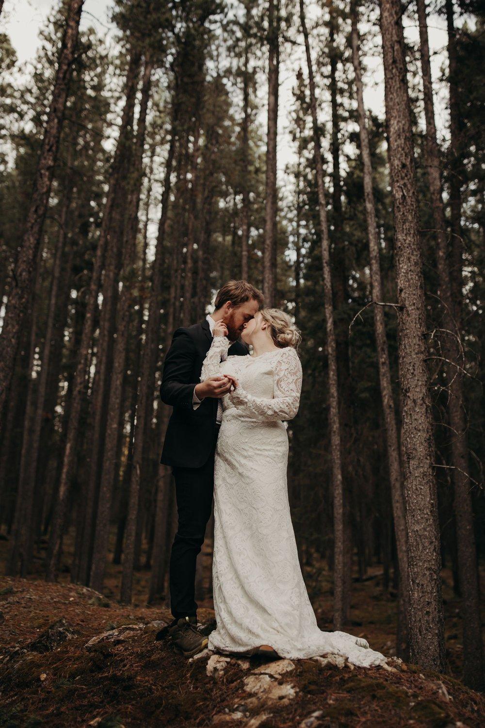 carousel-hero-element image-13