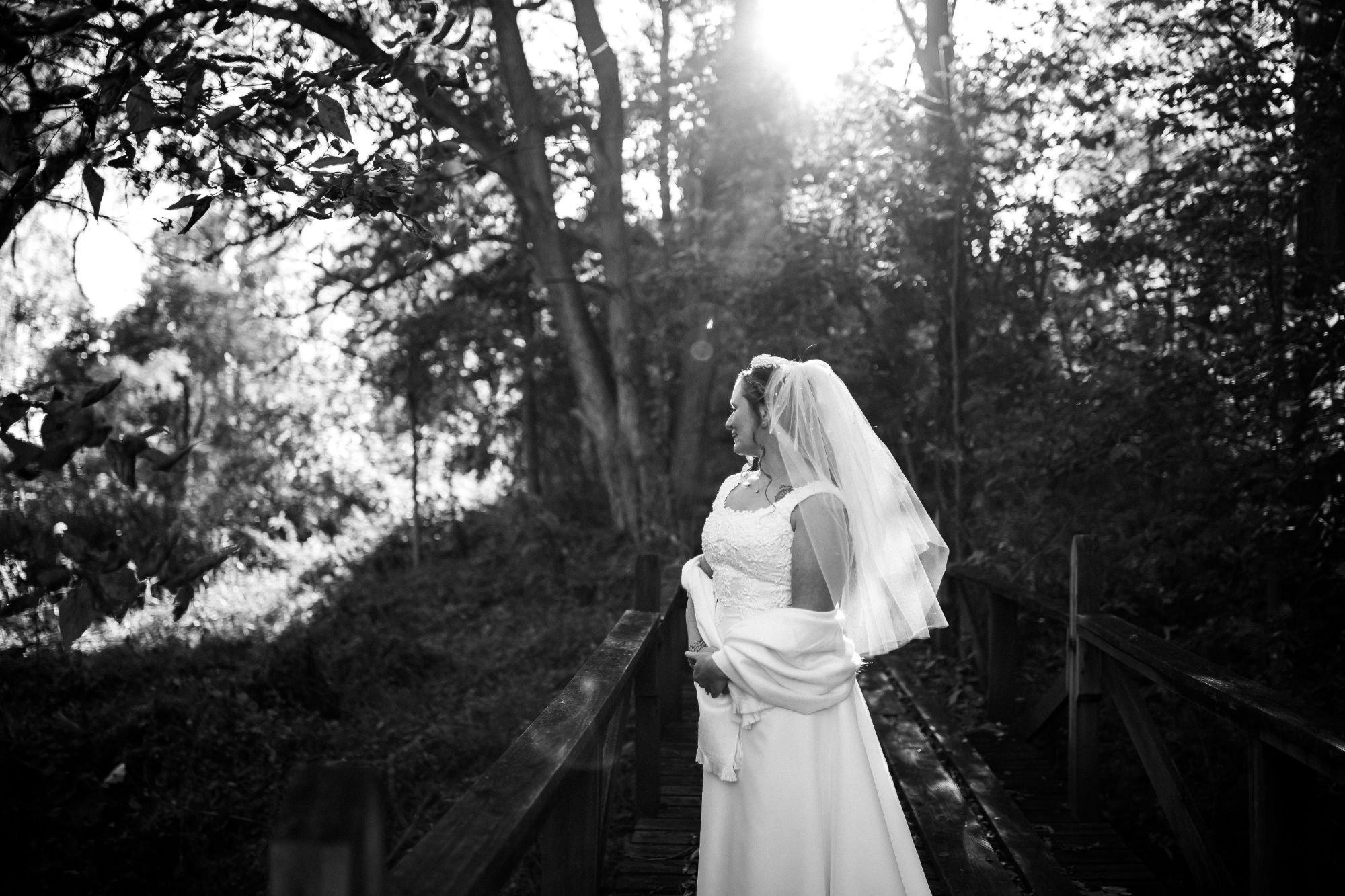 carousel-hero-element image-12